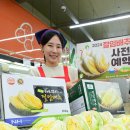 대관령원예농협 하나로마트 이미지