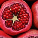 편백 힐링 안마원 이미지