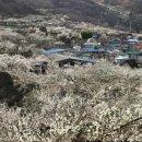 광양나라약국 | "3월 2일 은행 문 여나요?" 2026 삼일절 대체공휴일 휴무 총정리 &amp; 연휴 여행지 BEST 3