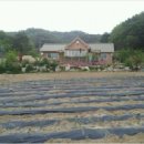 연곡리 농장 이미지