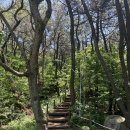 연원목장 | 부산여행 볼거리 추천(황령산 봉수대_위치, 전망대 카페 블루뱅, 전망)