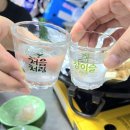 서울중앙시장맛집 전봇대곱창 막창구이 야채곱창 내돈내산 후기