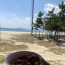 후포 닭강정 이미지