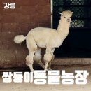 현내농장 | 강릉 아이와 가볼 만한 곳 옥계 쌍둥이동물농장 꿀팁