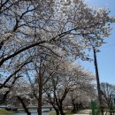 여로민박 이미지