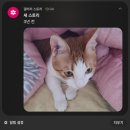(주)투어메이트 | 37탄(미에 당일치기, 미에 여행, imase 전국투어 콘서트)