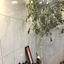 쥬디스잉글리쉬