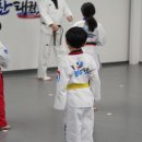 배울태권도장 이미지