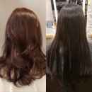 화창한약국 이미지