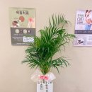 금손마디한의원