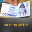 천원세상 이미지