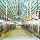 우람찬농장 이미지