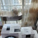 로스팅 | 커피로스터기 집에서 250g 로스팅 도전 후기