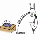 정가담 이미지