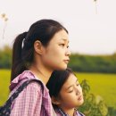들풀처럼 살고 들꽃처럼 피다/ 이초야 (영상시 첨부) 이미지