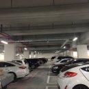 강서세무서 이미지