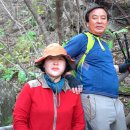 대도양행 이미지