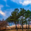 청계산수변공원 이미지