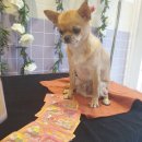 (주)두리에너지 이미지