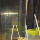 위아일랜드당구장 이미지