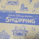 주식회사 친절한상희씨 | 디즈니스토어에서 판매중인 도쿄디즈니랜드 MD 직구 하기｜짐패스 배대지 이용후기