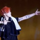 피카소장 이미지