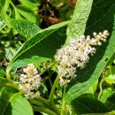 보고 또 보고 싶은... 이미지