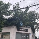 이가한의원 | 안면비대칭 치료 강남 심용섭십장생 한의원 솔직 후기