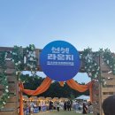 다대온천 | 다대포 해수욕장 제 29회 부산바다축제 솔직후기, 중도 포기 후 할매집에서 만취한 날