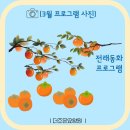 햇살가득요양원 이미지
