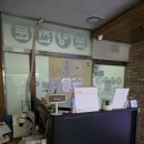 강아지분양 더펫 이미지