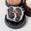 모찌가 | 수원 과일모찌 [모찌가 본점] 광교 수원 과일 찹쌀떡 맛집 내돈내산 후기 (재방문의사 1000%)