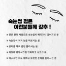 케이뷰티 속눈썹