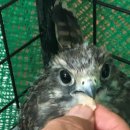 남대문파출소 이미지