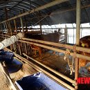 대덕축산 이미지