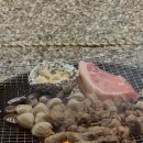 태안노을과바다캠핑앤글램핑 이미지