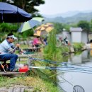 물반고기반 이미지