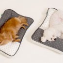 사계절 애견 켄넬 이미지