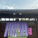 광주광역시 서구 서창동 주민센터 대회의실 | [세하동 카페] 가배당 • 저녁에 더 예쁜 비주얼 최고 당고빙수 재방문 후기