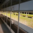 상록수농장 이미지