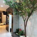 장성치과의원 이미지