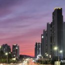 삼성대로 이미지