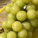 완사약국 이미지