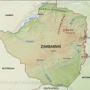 [2019년 8월호] 짐바브웨의 사람새 / 이원익 이미지