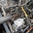 서울부란자 이미지