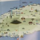 푸른컵 네이버블로그
