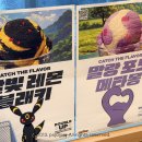 스타 | 배스킨라빈스 포켓몬 &amp; 블라썸 카네이션 가든 아이스크림 케이크