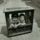 100장의추억 이미지