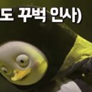 까치와 대구