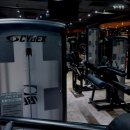 월드원짐 이미지